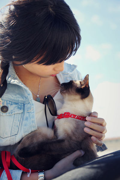 The right way to kiss our feline friends